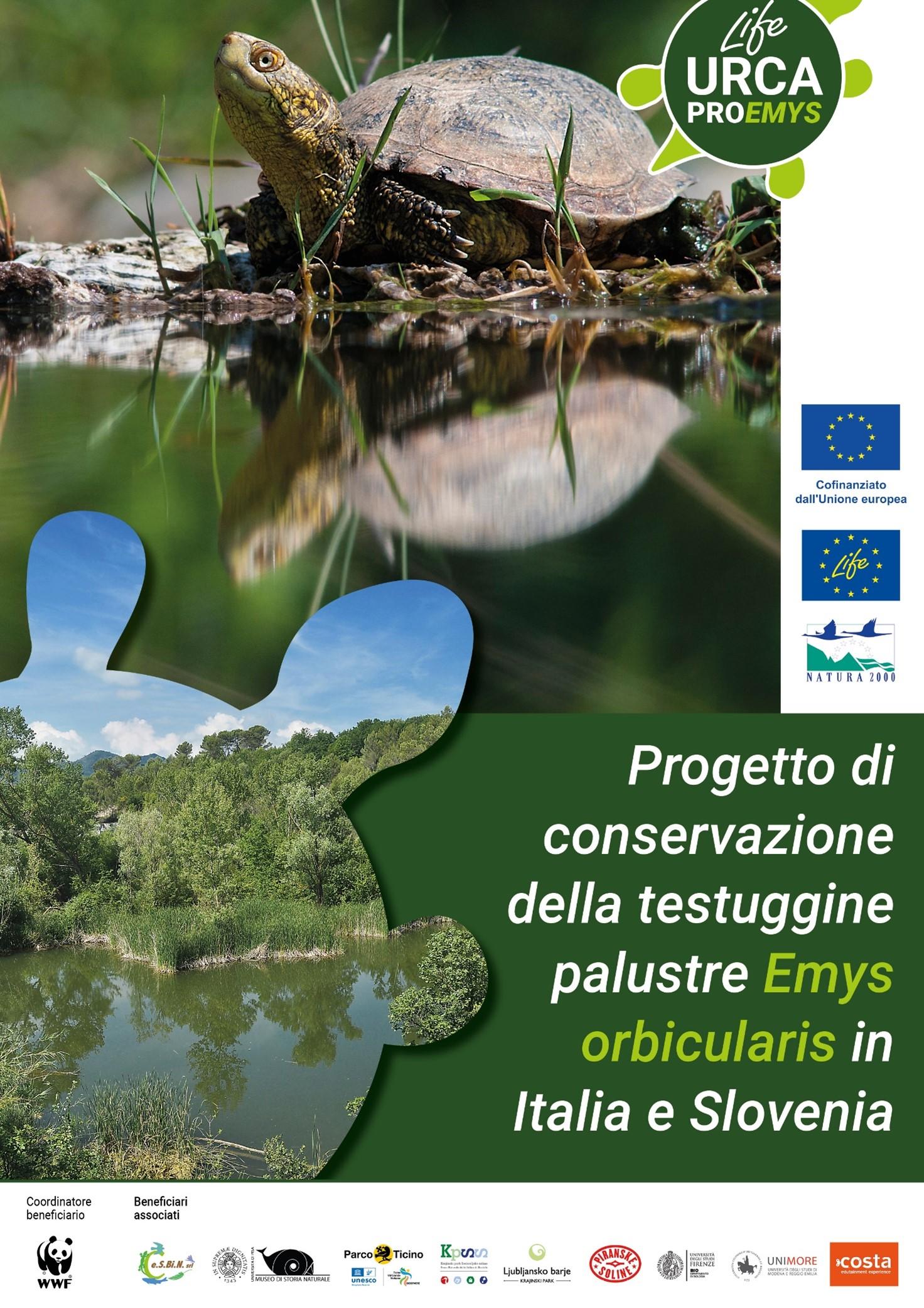 Locandina Progetto Testuggine Palustre